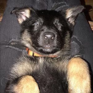 Meet your Posher, Jessica